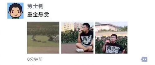 娱乐搞笑吃瓜图片大全集,带你领略欢乐瞬间