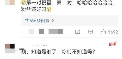乔任梁吃瓜娱乐大事件,娱乐圈风云再起，吃瓜群众热议不断