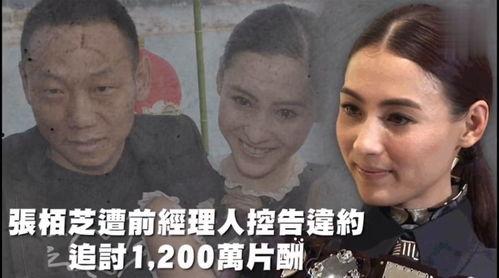 吃瓜综艺娱乐猪,娱乐猪的欢乐盛宴