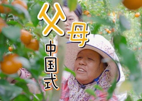 娱乐吃瓜酱愧疚式教育,娱乐吃瓜酱的反思与启示