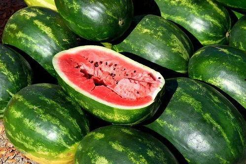 娱乐吃瓜视频素材,吃瓜群众视角下的明星幕后故事