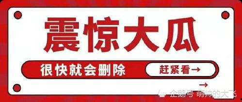娱乐说吃瓜八卦什么意思,吃瓜八卦背后的真相大起底