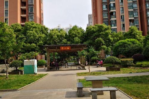 娱乐吃瓜酱花园,揭秘娱乐圈那些不为人知的幕后故事