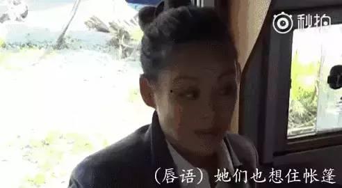 娱乐圈吃瓜许晴,娱乐圈的瓜田，她如何成为焦点？