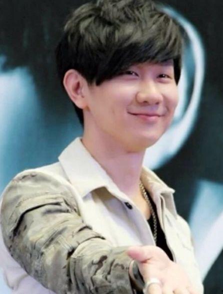 娱乐吃瓜君林俊杰,娱乐吃瓜界的音乐王子