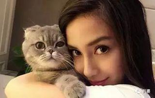 娱乐吃瓜猫咪视频