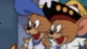 娱乐吃瓜猫咪视频