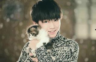 吃瓜娱乐王俊凯张翰