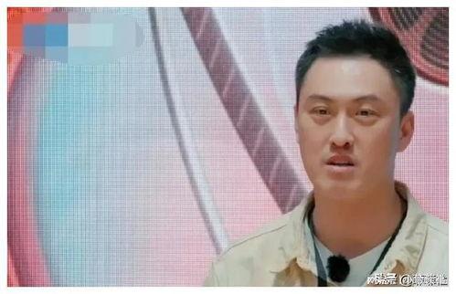 娱乐圈吃瓜爆料大宝,大宝背后的惊人真相大揭秘！