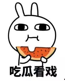 娱乐吃瓜酱外卖起名,舌尖上的娱乐盛宴