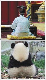 做一回娱乐圈吃瓜群众