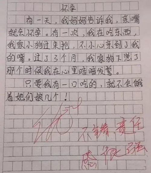 娱乐吃瓜酱小学生作文,小学生眼中的娱乐圈风云