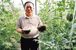 寺寺娱乐吃瓜,揭秘娱乐圈吃瓜背后的真相